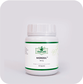 Morosil